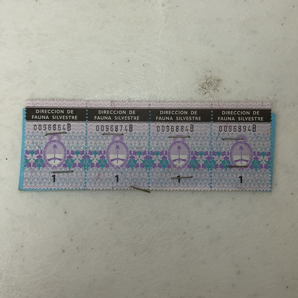 GENUINE ALLIGATOR SKIN LEATHER CLUTCH IN NAVY - Picture 6 of 7